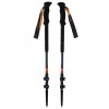 ViKing Poles Kangri Skitour