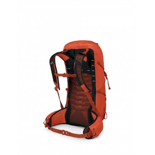 ზურგჩანთა Osprey TALON PRO 30